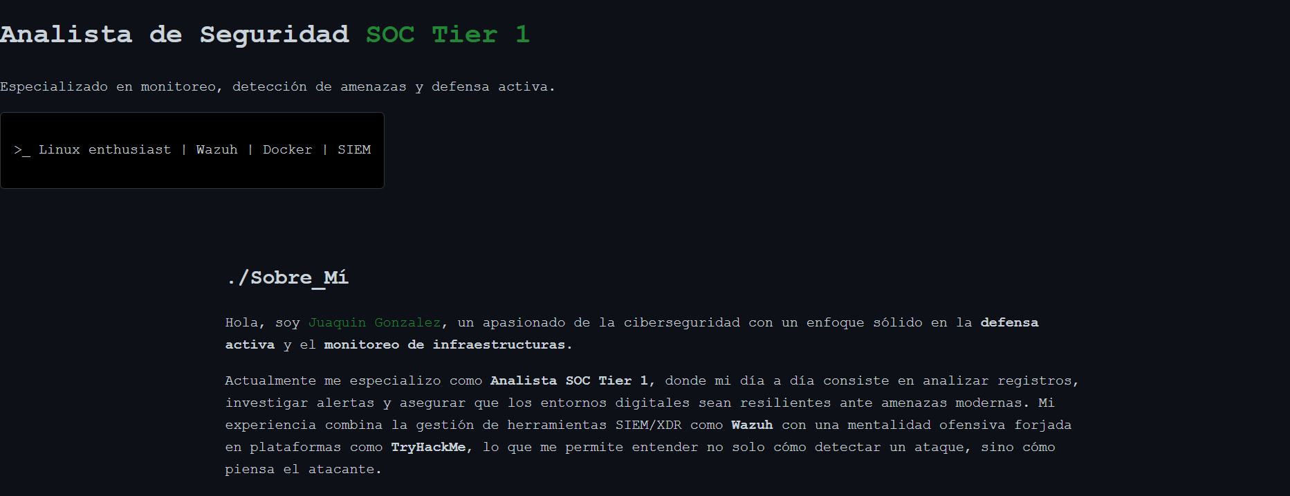 Ciberseguridad